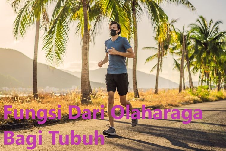 Fungsi Dari Olaharaga Bagi Tubuh