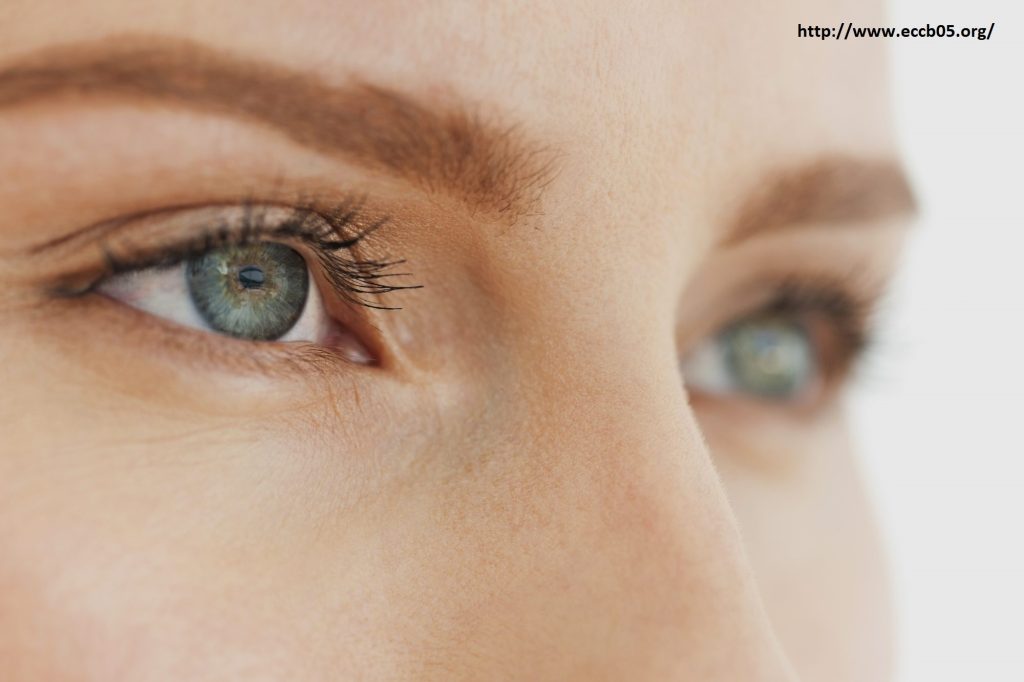 Tips Untuk Menjaga Kesehatan Mata